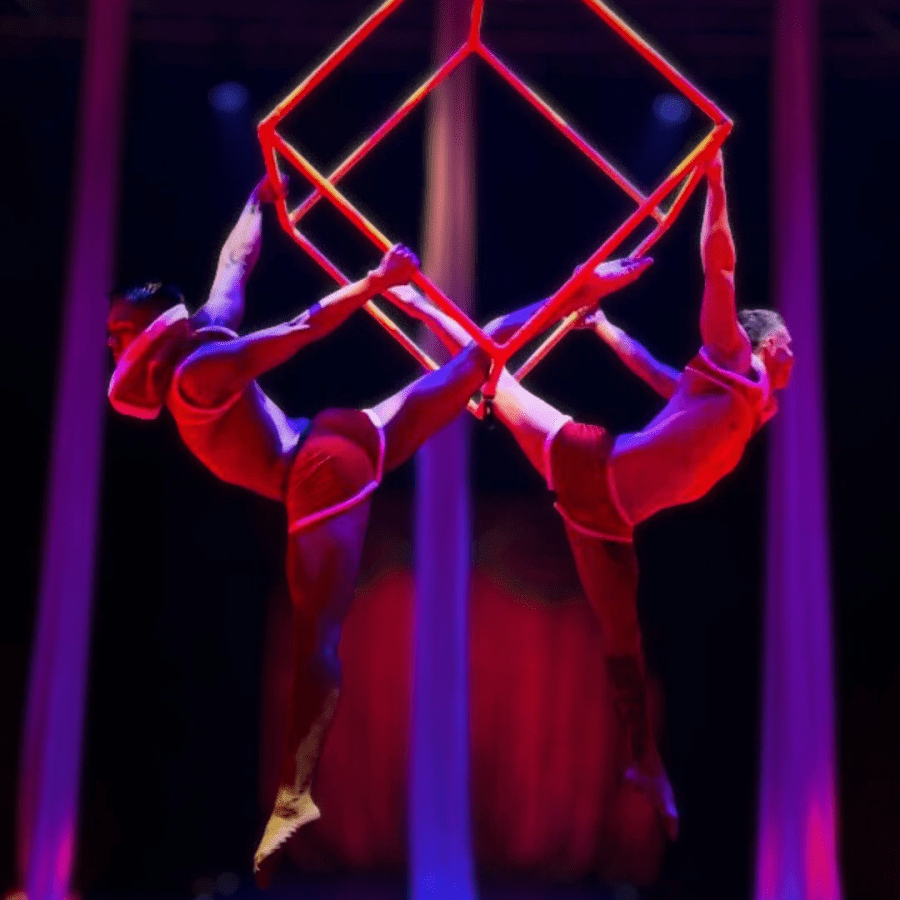 BITE! by AirOtic Soirée Galley Image