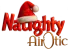 Naughty Airotic Experience Logo
