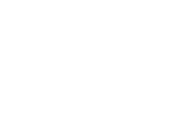 Velvet Rodeo Experience Logo