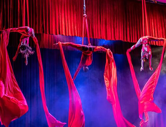 Starring a Cast of World-Class Acrobats - AirOtic en Puerto Vallarta: Espectáculo de Cabaret acrobático